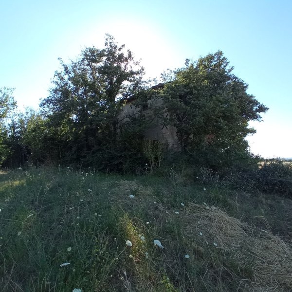 casa indipendente in vendita a San Costanzo