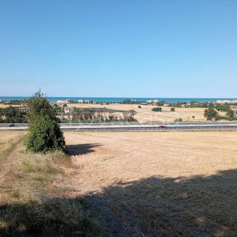 terreno agricolo in vendita a San Costanzo