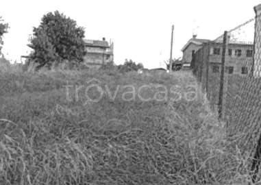 terreno agricolo in vendita a San Costanzo