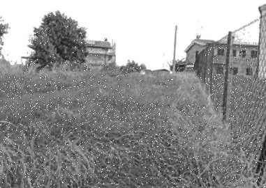 terreno agricolo in vendita a San Costanzo