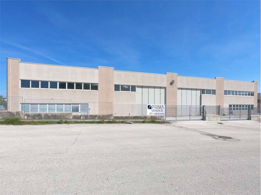 terreno edificabile in vendita a San Costanzo