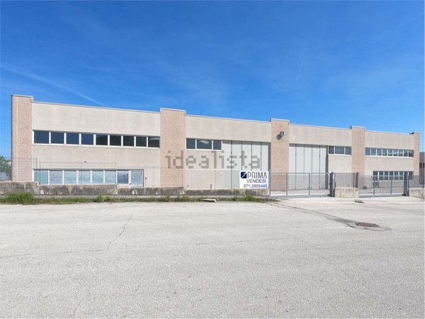 immagine annuncio 0 di 1