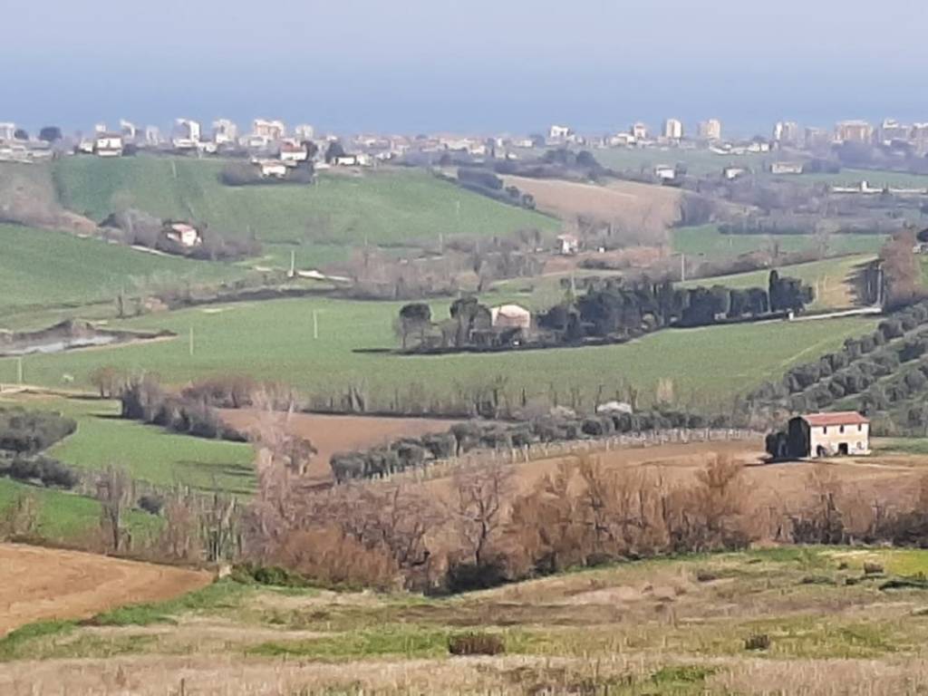 terreno agricolo in vendita a San Costanzo