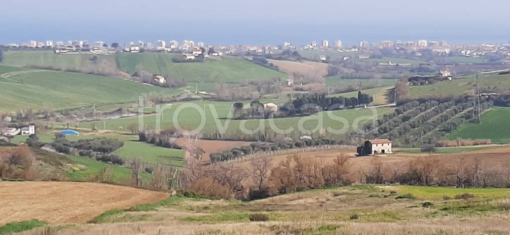 terreno agricolo in vendita a San Costanzo