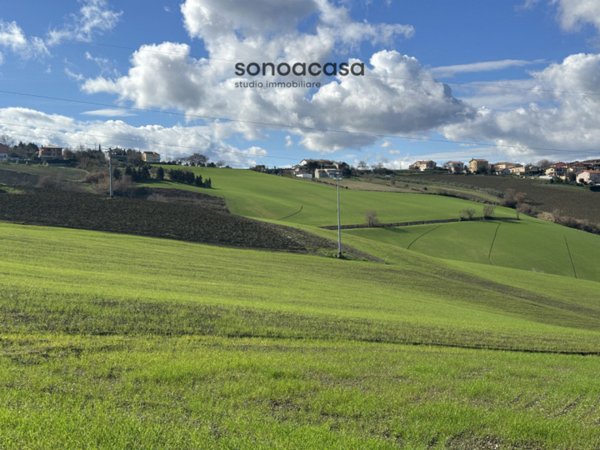 terreno agricolo in vendita a San Costanzo