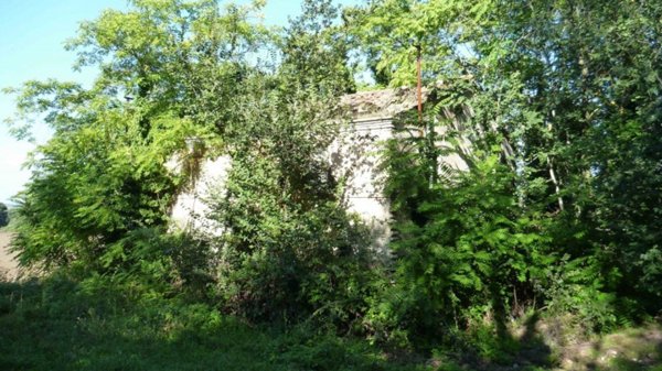 casale in vendita a San Costanzo