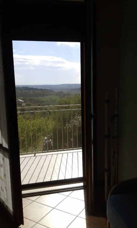 appartamento in vendita a San Costanzo