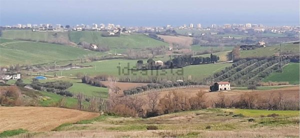 terreno agricolo in vendita a San Costanzo