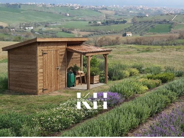 terreno agricolo in vendita a San Costanzo