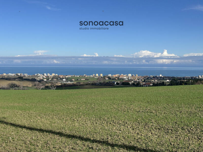 terreno agricolo in vendita a San Costanzo in zona Stacciola