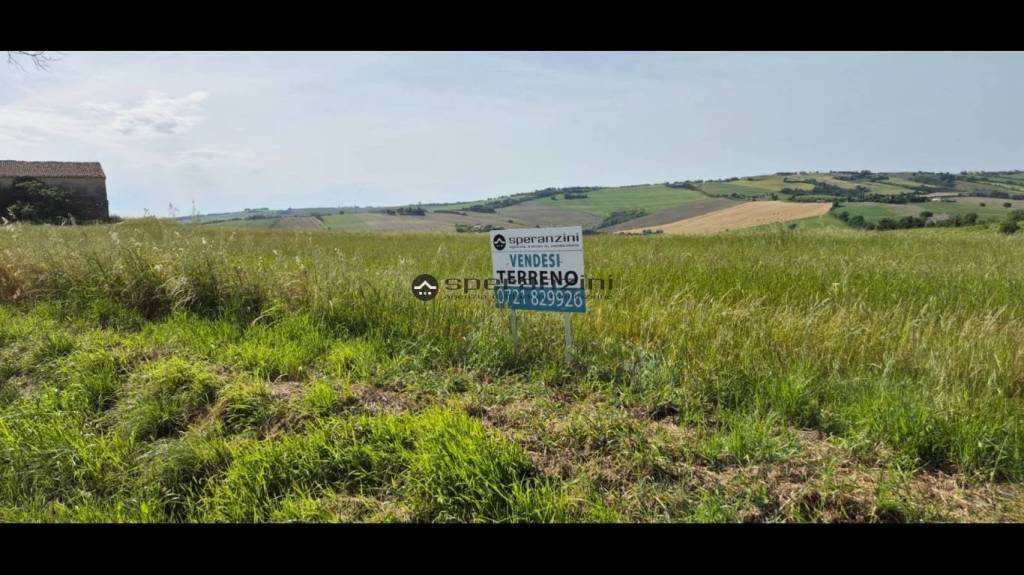 terreno agricolo in vendita a San Costanzo in zona Stacciola