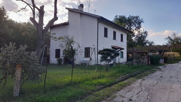 appartamento in vendita a San Lorenzo in Campo in zona San Vito sul Cesano