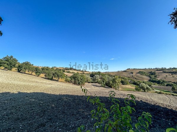casa indipendente in vendita a San Lorenzo in Campo in zona San Vito sul Cesano