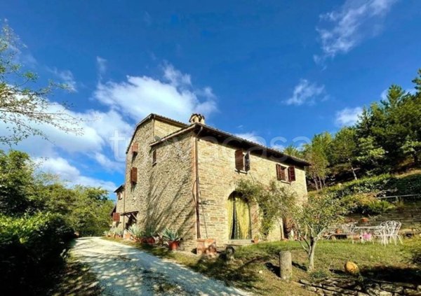 casa indipendente in vendita a Sant'Angelo in Vado