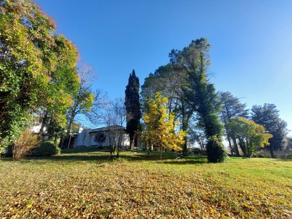 esavano in vendita a Sant'Angelo in Vado