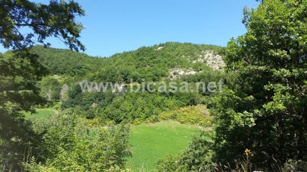 rudere in vendita a Sant'Angelo in Vado