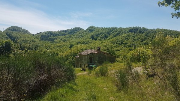 casale in vendita a Sant'Angelo in Vado