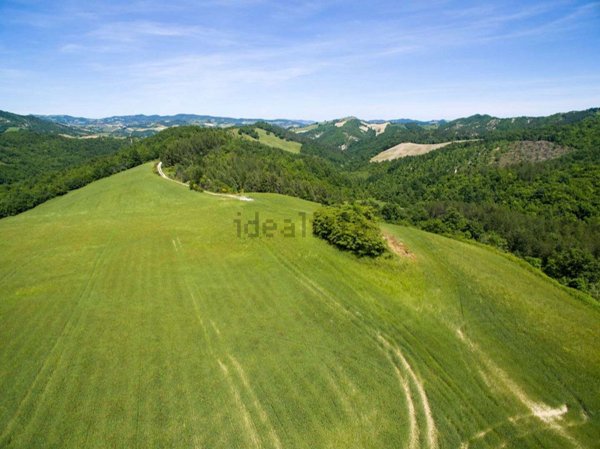 esavano in vendita a Sant'Angelo in Vado