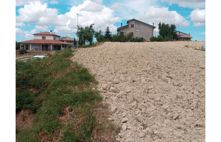 terreno agricolo in vendita a Sant'Ippolito