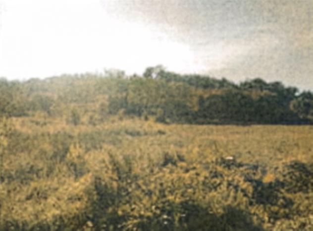 terreno agricolo in vendita a Sant'Ippolito