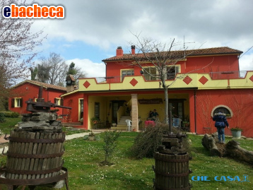casa indipendente in vendita a Tavoleto
