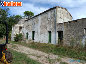 appartamento in vendita a Tavoleto