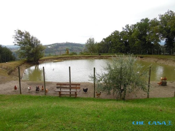 casa indipendente in vendita a Tavoleto