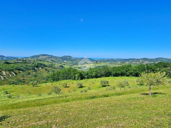 terreno agricolo in vendita a Tavoleto