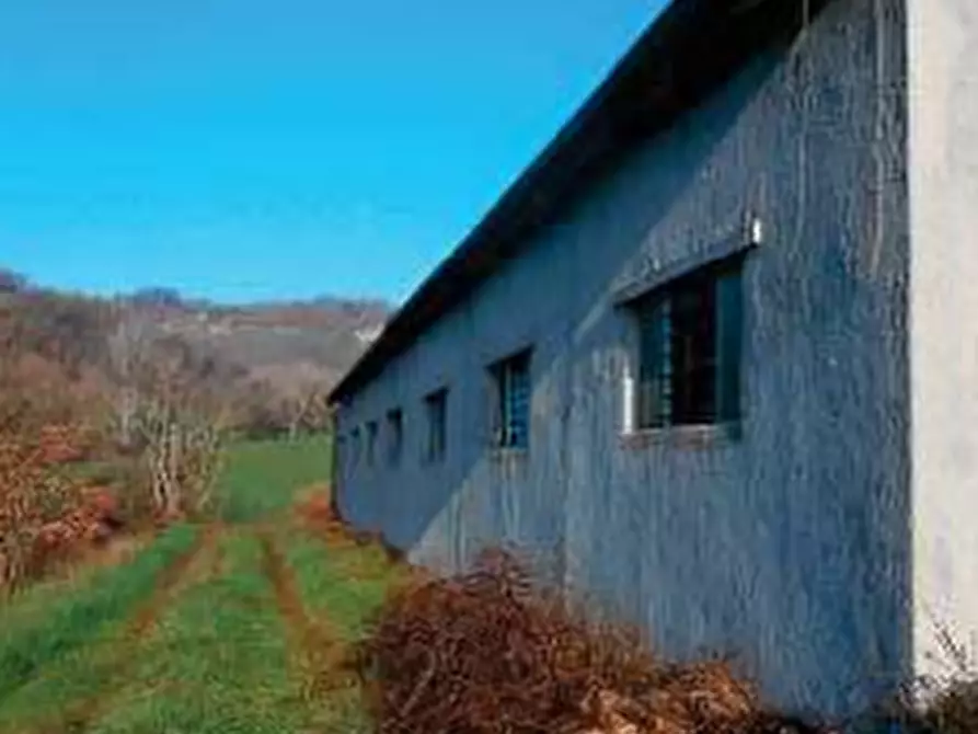 capannone in vendita a Tavoleto