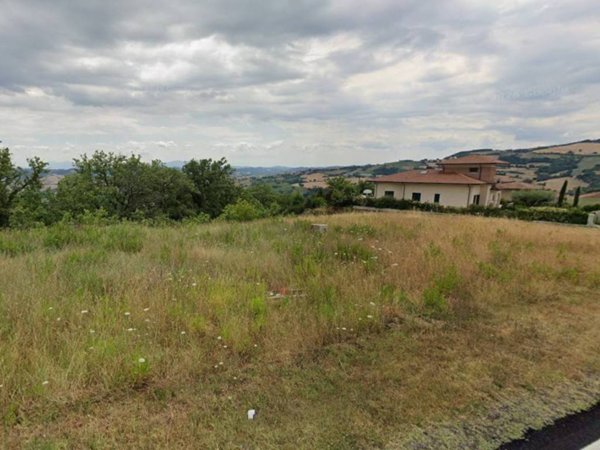 terreno agricolo in vendita a Tavoleto