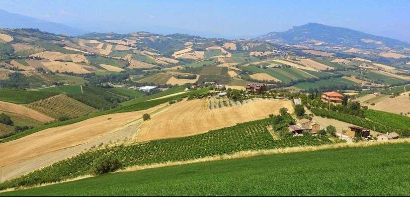 terreno agricolo in vendita a Tavullia in zona Padiglione
