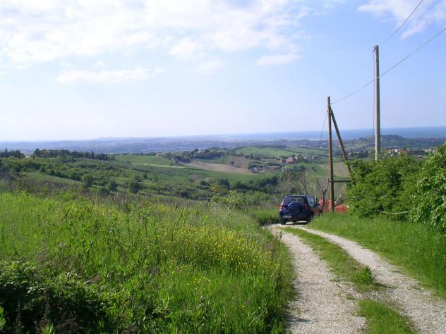 terreno agricolo in vendita a Tavullia in zona Monteluro