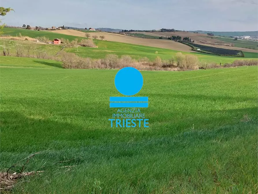 casa indipendente in vendita a Tavullia