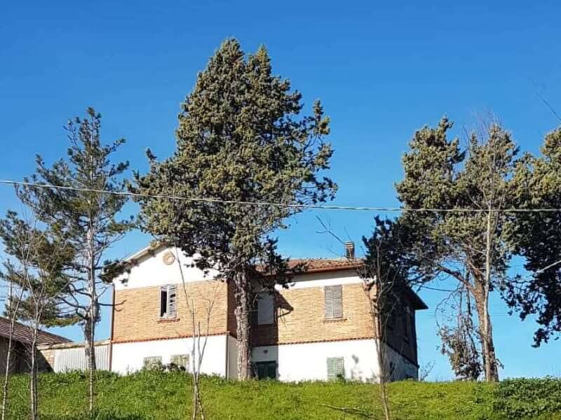 casa indipendente in vendita a Tavullia