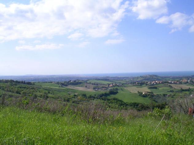 terreno agricolo in vendita a Tavullia