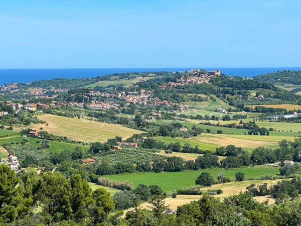 terreno agricolo in vendita a Tavullia in zona Monteluro