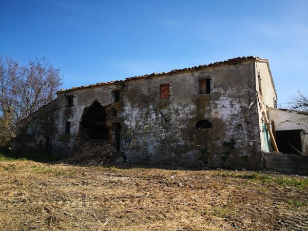 esavano in vendita a Tavullia