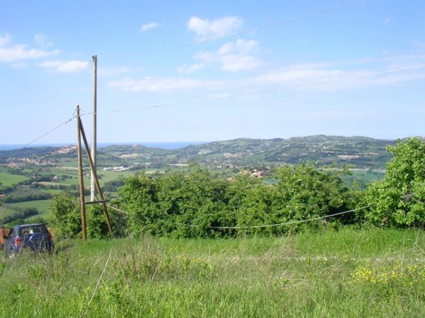 terreno agricolo in vendita a Tavullia in zona Monteluro