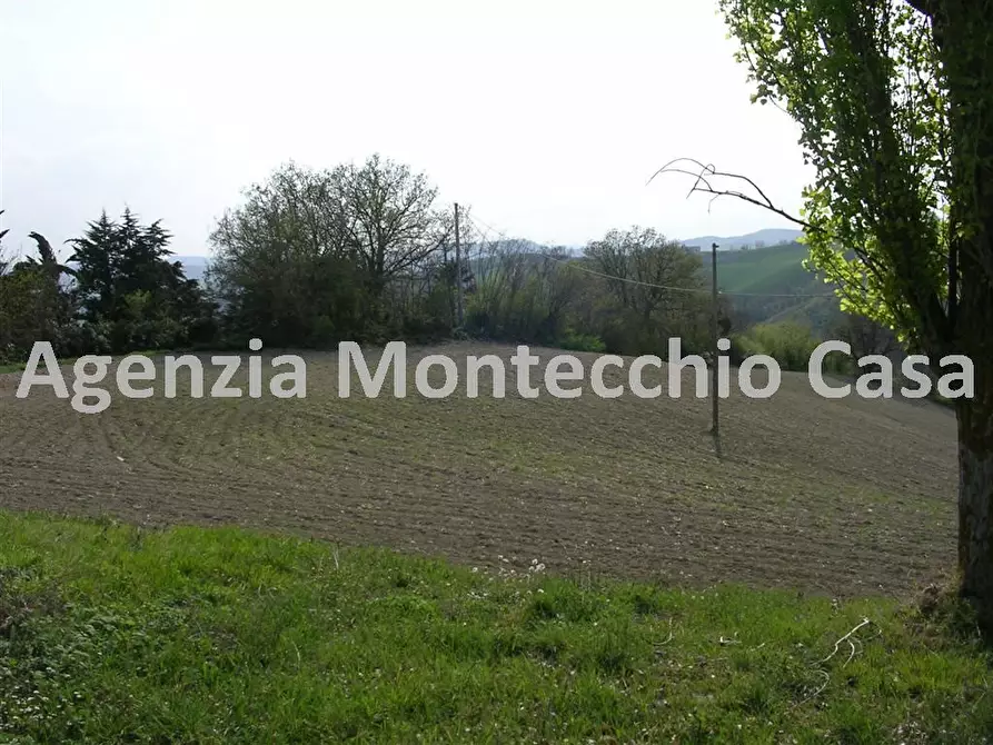 terreno agricolo in vendita a Tavullia