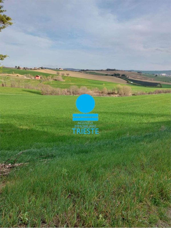 azienda agricola in vendita a Tavullia