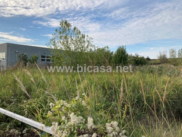terreno agricolo in vendita a Tavullia
