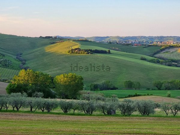 casa indipendente in vendita a Tavullia