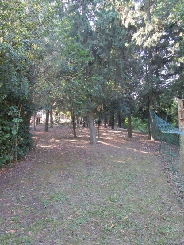 pentavano in vendita a Tavullia