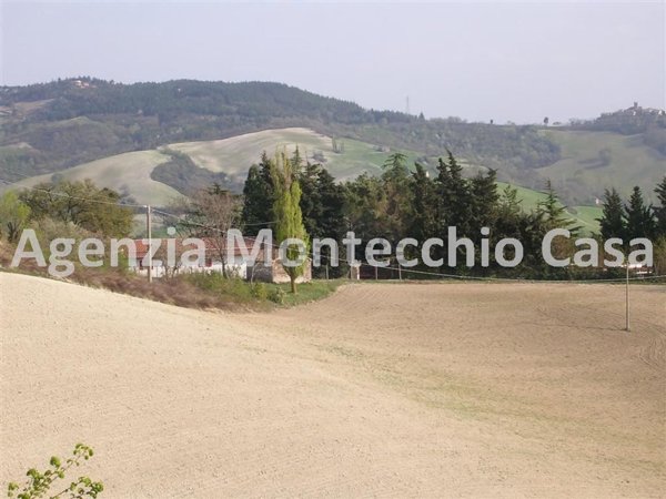 terreno agricolo in vendita a Tavullia