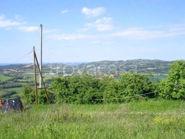 terreno agricolo in vendita a Tavullia