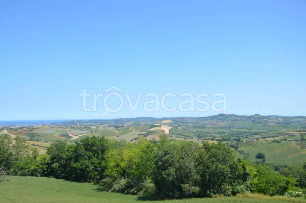terreno agricolo in vendita a Tavullia