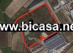 terreno agricolo in vendita a Tavullia