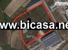 terreno agricolo in vendita a Tavullia