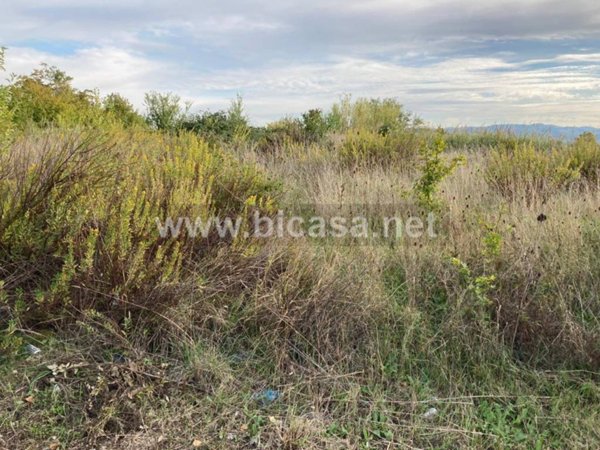 terreno agricolo in vendita a Tavullia