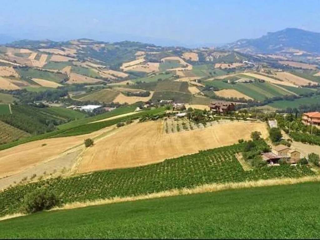 terreno agricolo in vendita a Tavullia in zona Padiglione